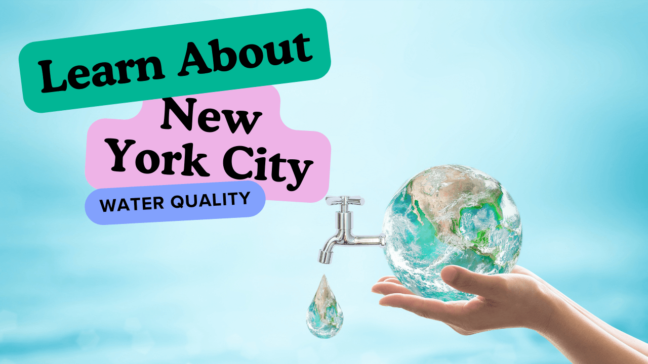 Learn about the new York city water quality for every purpose