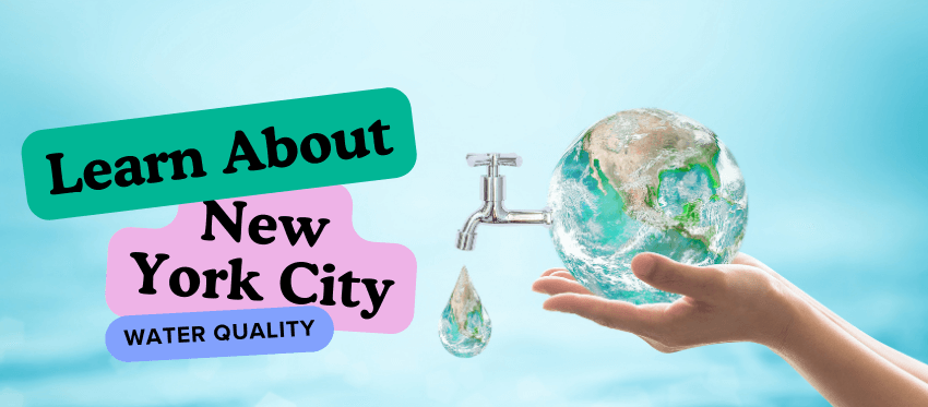 Learn about the new York city water quality for every purpose