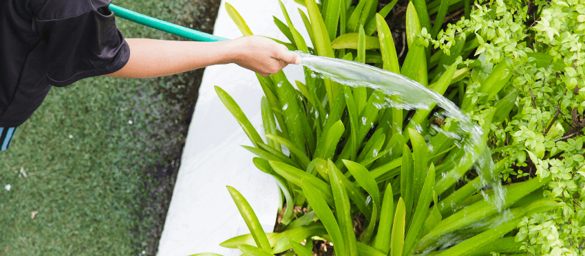 Icon of watering can indicating tips to conserve outdoor water usage like irrigation